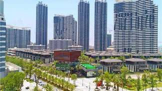 意啄木鸟 意啄木鸟在北美原住民传说中