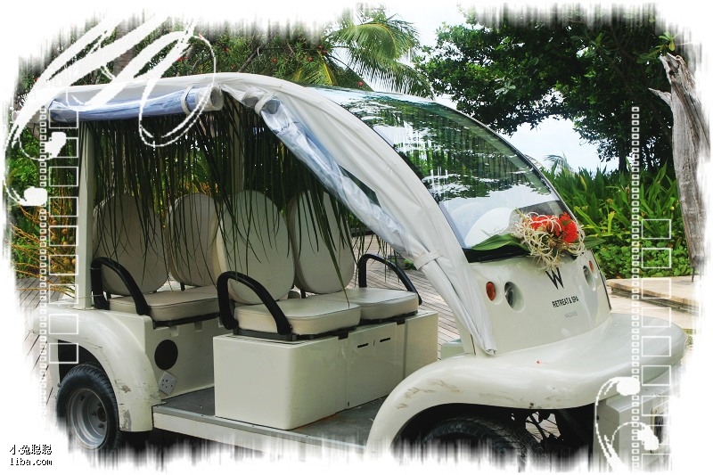 小马漫漫 耐心与探索的小马漫漫讨论