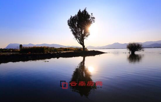 天美文化传媒精品网站 网站还注重数据安全