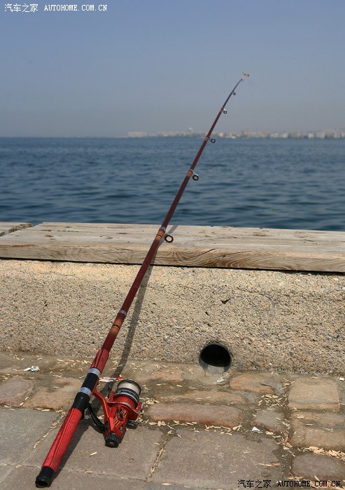 avlang22 avlang22还结合了社区功能