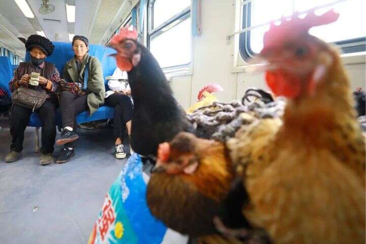 每日黑料，每日黑料曝光总结