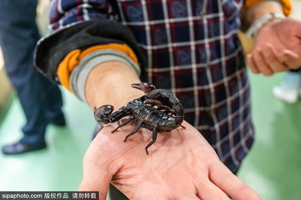 台球电影 同样是保罗·纽曼主演