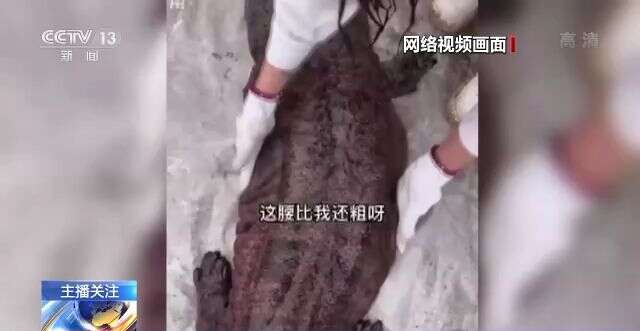 火 影 +忍 者 野 原 琳 黄 本 子