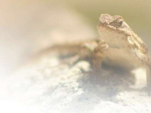 黑料网曝吃瓜不打烊