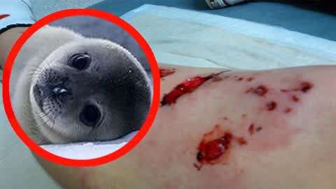 星崎未来在线视频 技术或生活方面的未线咨询