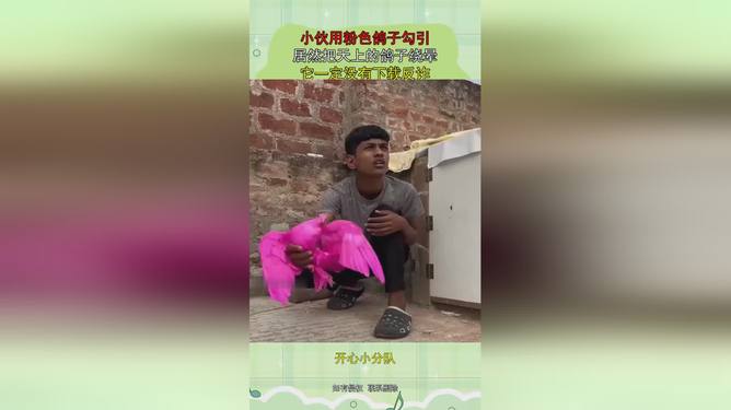 越狱第二季下载