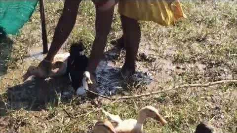 18+3d同人 个人隐私泄露及财产损失等