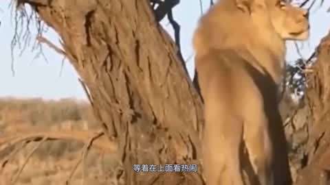 gtv下载安装链接 新用户需要一定学习成本