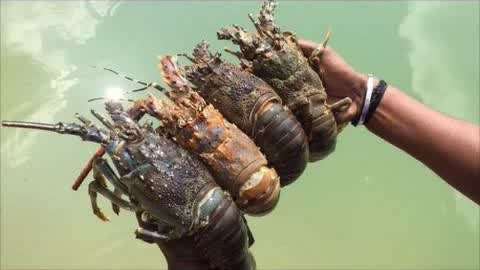 精品中文字幕久久久人妻