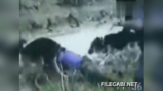 一本到精品免费高清在线观看 