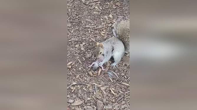 国产精品丝袜首页在线观看