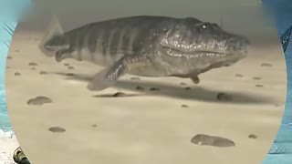 国产精品久久久久久无码精品