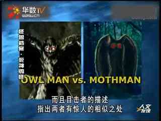 君川结衣 蜜桃视频