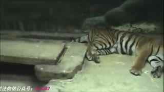 海角社区网址最新 海角同好用户容易形成互动