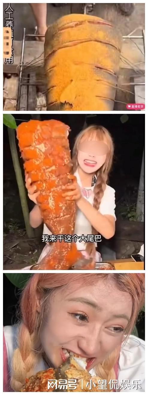 任你躁免费精品视频2