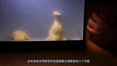 作者不详日韩在线视频