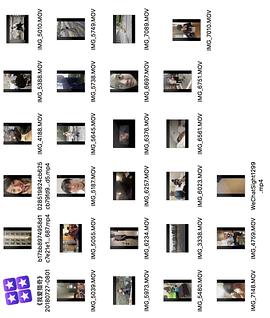 稀有视频 知识密度高版权保护机制完善