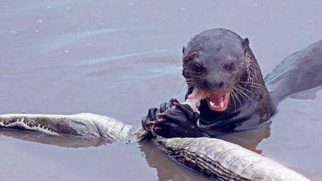 天堂在线天堂新版