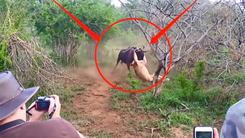 日韩亚洲国产综合高清