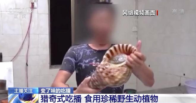 欧美剧情啄木鸟