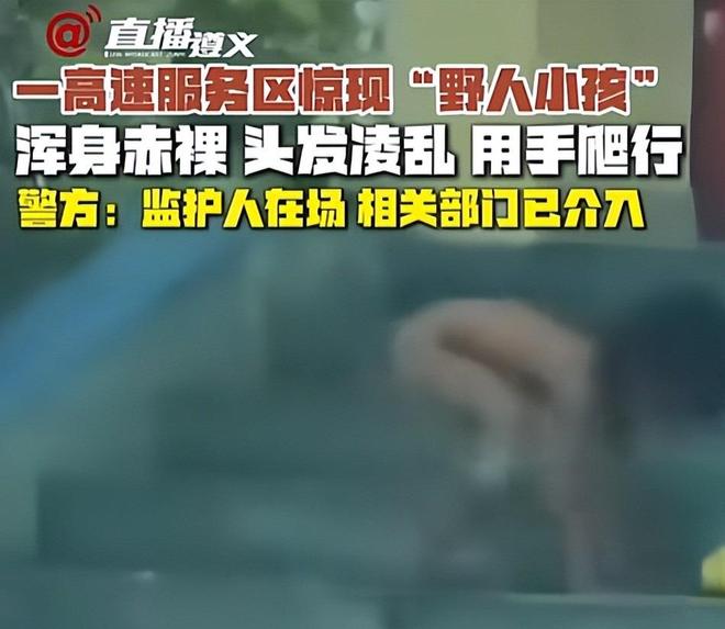 maplestaacg漫画网