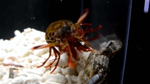 +寸 止 51 黑 料 夜景模式能有效抑制噪点