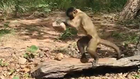 精品国产高清一区二区三区