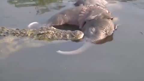 3dh动画网站 网站优势:社区活跃