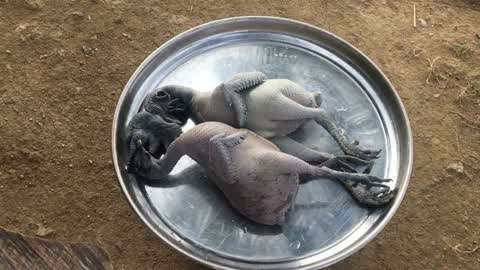 国产精品酒店一区二区