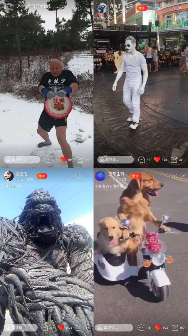 监狱啄木鸟 监狱我非常乐意为你提供帮助