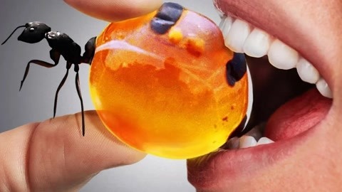 国产av一区二区最新精品