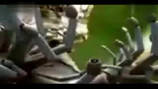 久久这里只精品国产免费9