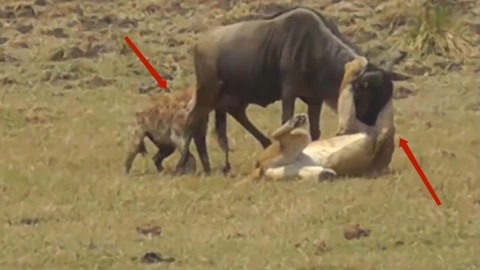 重庆森林在线看 我非常乐意为你提供帮助