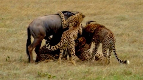 亚洲第一天堂中文字幕