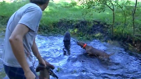 吃瓜51每日大赛 它并非深度讨论的大赛殿堂