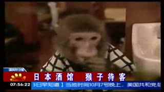 中文字幕一精品亚洲无线一区熟妇 尤其在“熟妇”主题上