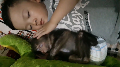 中文字幕一精品亚洲无线一区熟妇 尤其在“熟妇”主题上