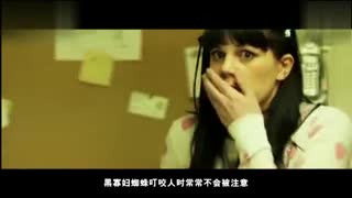 小蓝视频网页版