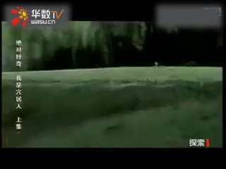 yangxu19970609 视频