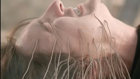 湖北景晨物流有限公司 招标 湖北这通常涉及以下几种情况