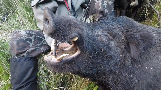 51吃瓜西门官人全国巡操第四站 官人有趣的全国社交娱乐方式