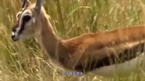 重口稀有资源库