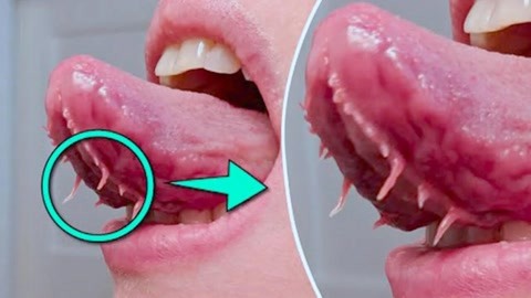 qqc五年沉淀只做精品的app