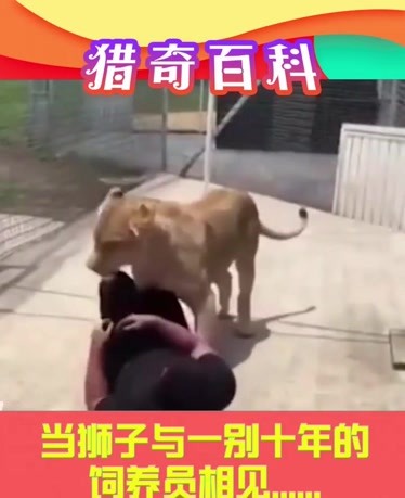 3d彩色漫画 色漫视角富有电影感