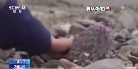 最近热门事件合集 三分钟内可掌握事件全貌