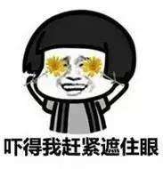 sp视频 后日谈、视频日剧和综艺领域