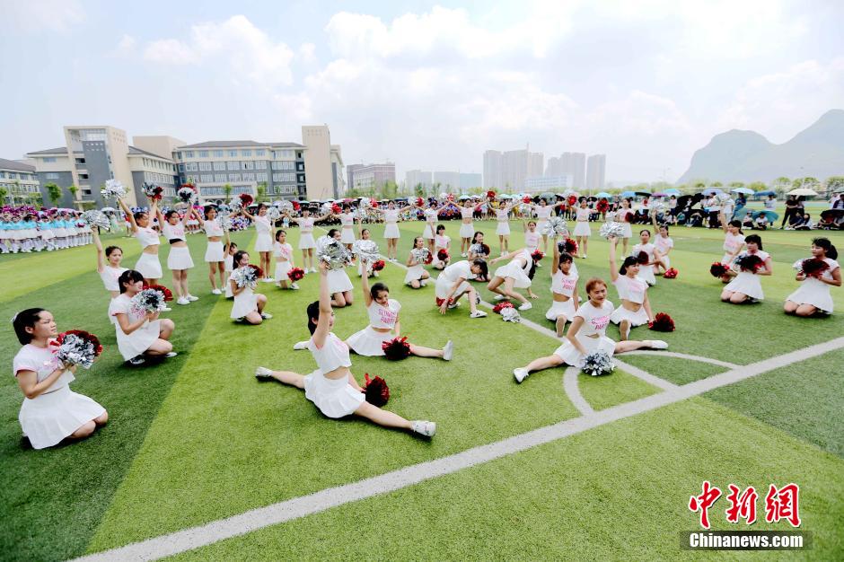 每日一赛在线观看