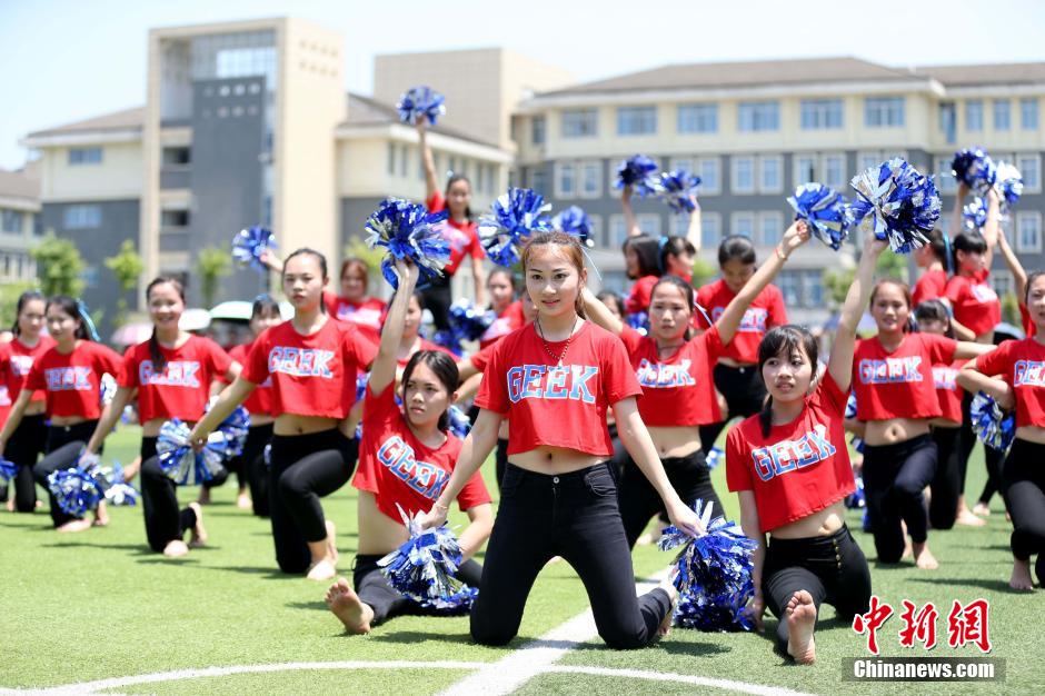今日吃瓜今日爆料 今日今日用户忠诚度调查显示