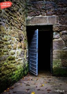 吃瓜网每日大赛