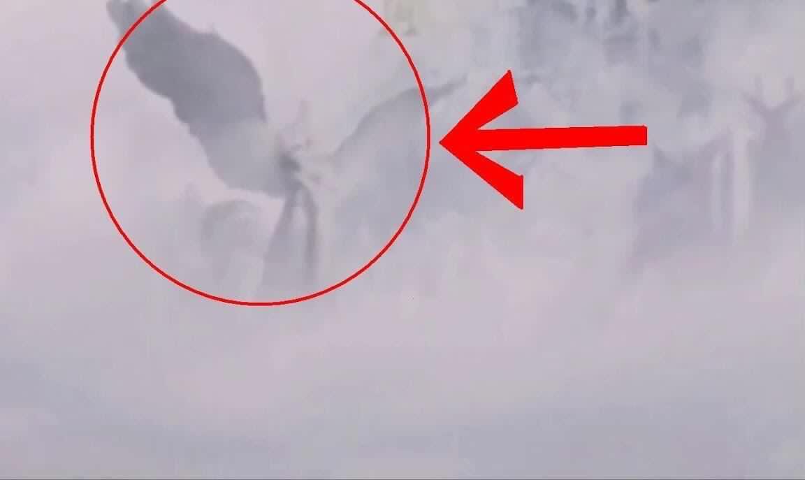 呱探网吃瓜 提供多角度信息参考